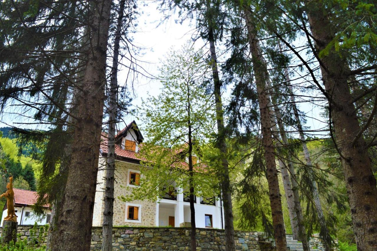 Mountain House Korab Trnica Villa Kültér fotó